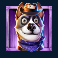busters bones slot purple dog symbol