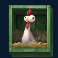 feasting fox slot green chicken symbol