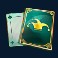 fire and roses joker slot card symbol