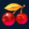 fire and roses joker slot cherries symbol