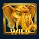 gerards gambit slot wild symbol