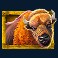 megajackpots majestic buffalo slot buffalo symbol
