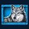 megajackpots majestic buffalo slot wolf symbol