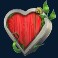 nice catch doublemax slot heart symbol