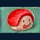 slashimi slot nigiri symbol