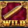 wild bandolier slot wild symbol
