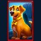 wild celebrity bus megaways dog symbol