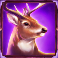 bucks and doe 10k ways slot deer symbol