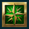 dead mans gold slot star symbol
