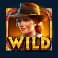 diamonds of egypt slot wild symbol