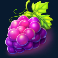 fruit combinator slot grapes symbol