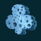 shark wash slot club symbol