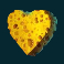 shark wash slot heart symbol