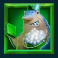 shark wash slot washer shark 2 symbol
