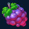 sticky bees slot grapes symbol