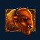 wild bison charge slot bison symbol