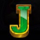 wild bison charge slot j symbol