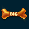 5 doggy dollars slot big cash bone symbol