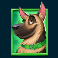 5 doggy dollars slot german shepherd symbol