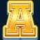 basketball king hold and win slot ace symbol