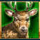big bad bison megaways slot elk symbol