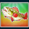 big bass amazon xtreme slot fish money symbol
