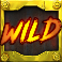 cash truck 2 slot wild symbol