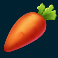 country farming slot carrot symbol
