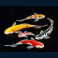 floating dragon dragon boat festival slot fish symbol