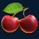 free reelin joker slot cherry symbol