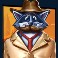 rascal riches slot wild symbol