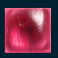 sparky and shortz hidden joules slot red crystal symbol
