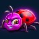 3 buzzing wilds ladybird symbol