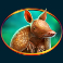 bison valley slot armadillo symbol