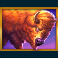 bison valley slot bison symbol