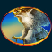 bison valley slot hawk symbol