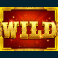 bison valley slot wild symbol