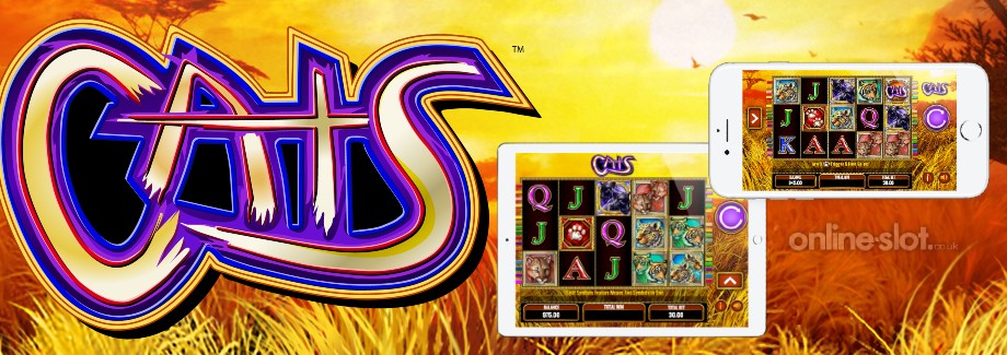 cats mobile slot