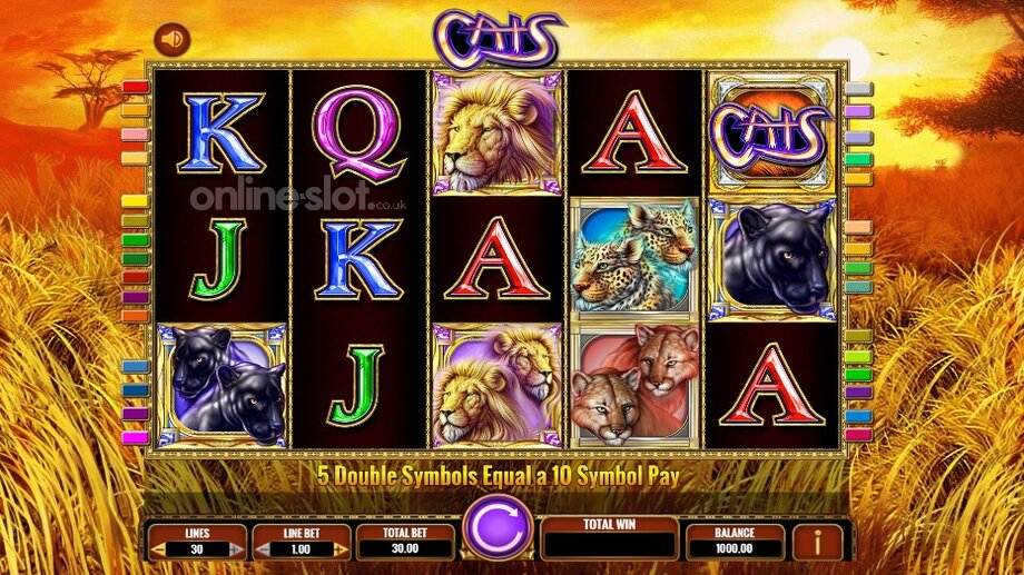 cats slot base game