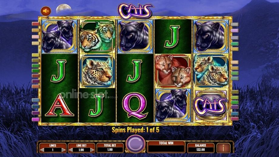 cats slot free spins feature