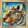 cats slot leopard symbol