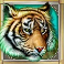 cats slot tiger symbol