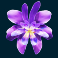coba reborn slot hydra orchid symbol