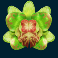 coba reborn slot rebirth orchid symbol