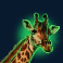 crocodile blitz xtreme slot giraffe symbol