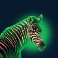 crocodile blitz xtreme slot zebra symbol