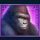 double jungle slot gorilla symbol