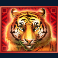 double jungle slot tiger symbol