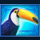 double jungle slot toucan symbol