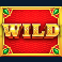 double jungle slot wild symbol